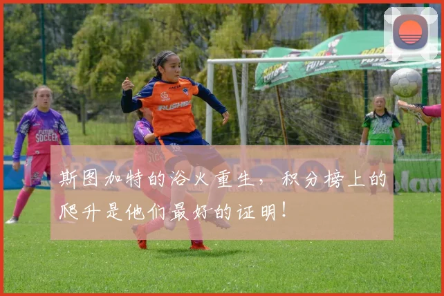 斯图加特的浴火重生,积分榜上的爬升是他们最好的证明!